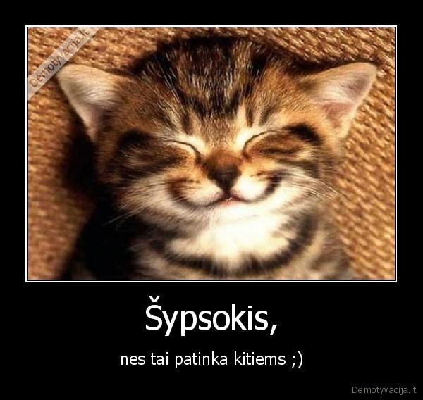 Šypsokis,