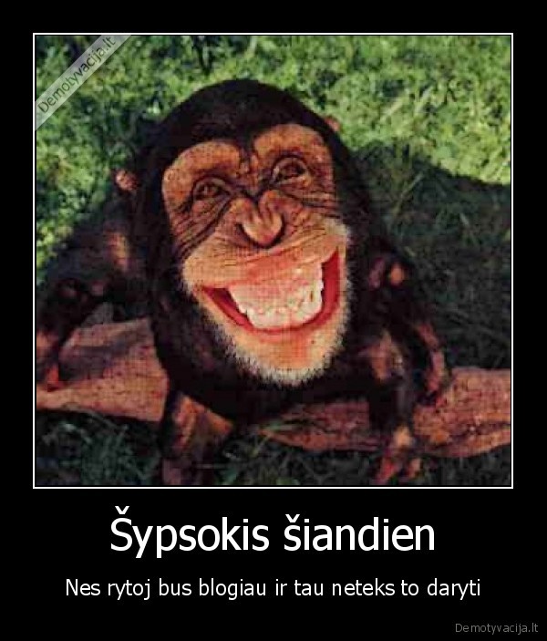 kubilius,skotis,blogai,nesiseka