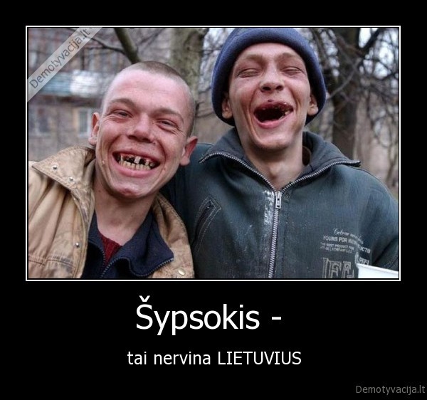 Šypsokis - 