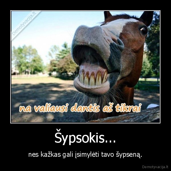 Šypsokis...