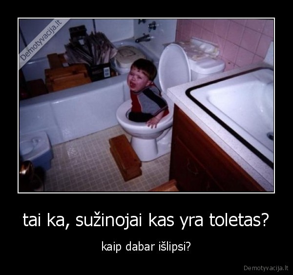 tai ka, sužinojai kas yra toletas?