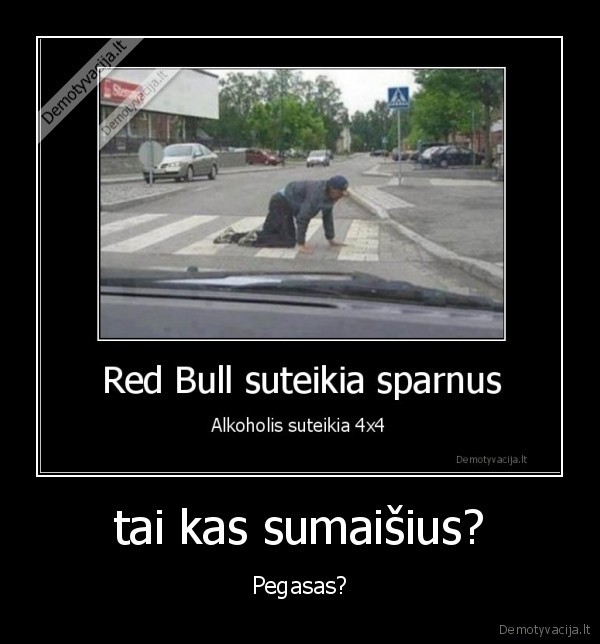 alkoholis,redbull,pegasas