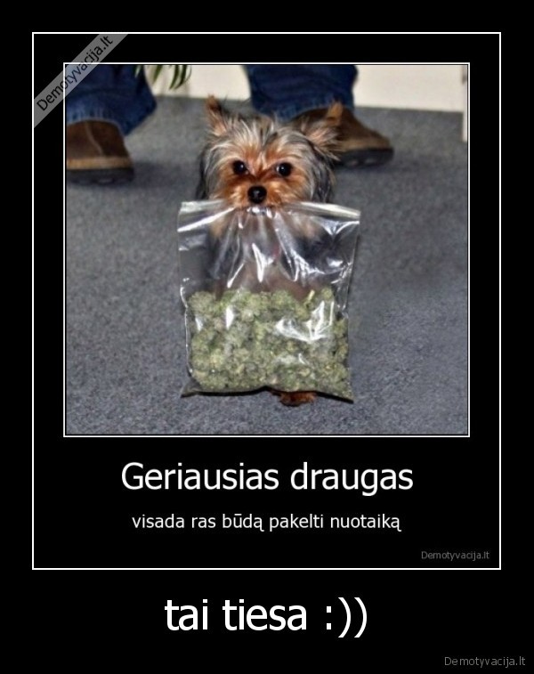 tai tiesa :))