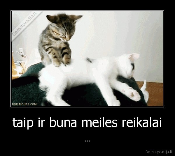 taip ir buna meiles reikalai