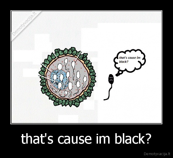 that's cause im black?