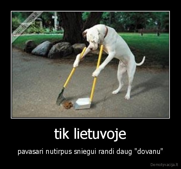 lietuva,pavasaris,sunis