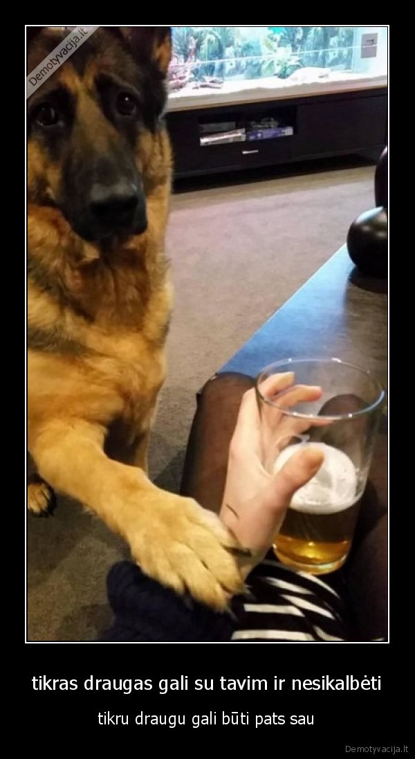 tikras draugas gali su tavim ir nesikalbėti