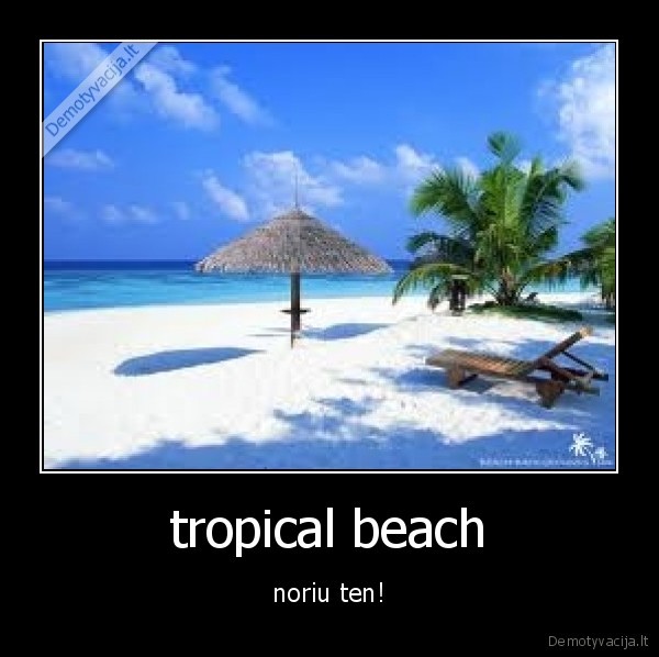 tropical,beach,noriu