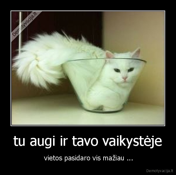 tu augi ir tavo vaikystėje