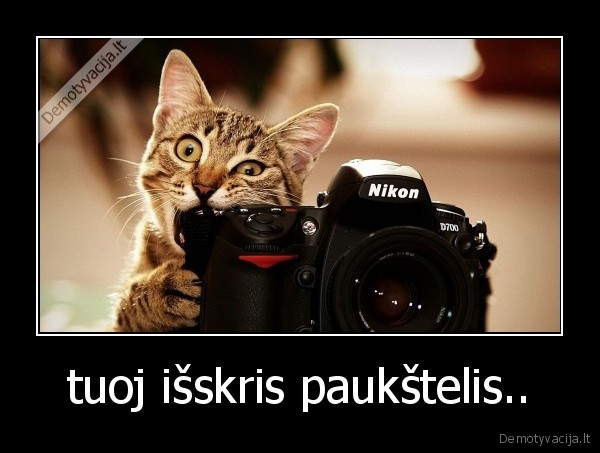 tuoj išskris paukštelis..