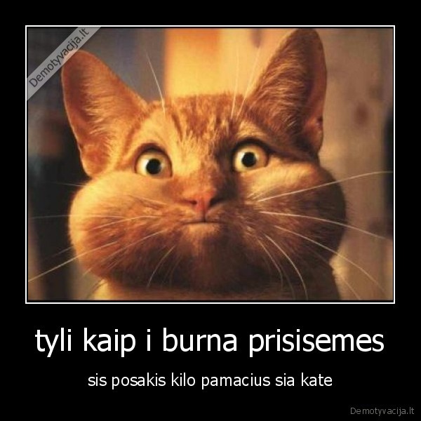 tyli kaip i burna prisisemes