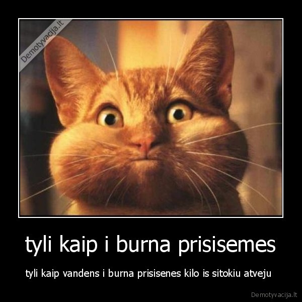 tyli kaip i burna prisisemes