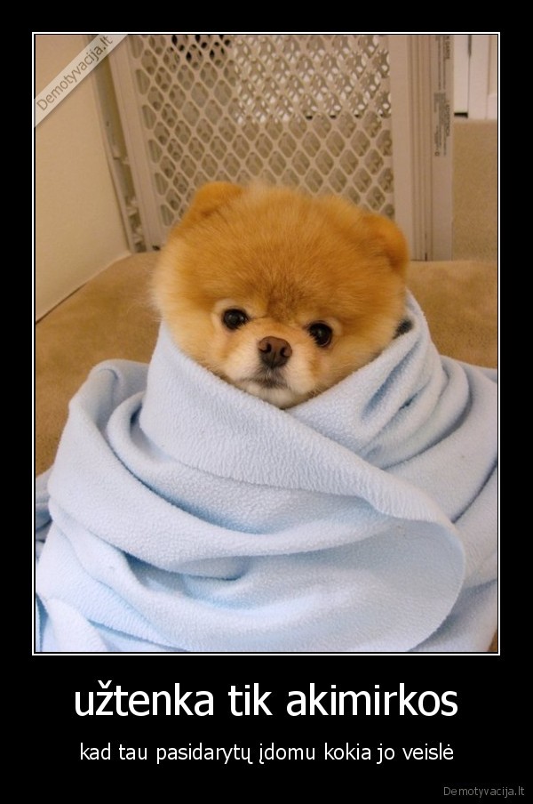 užtenka tik akimirkos