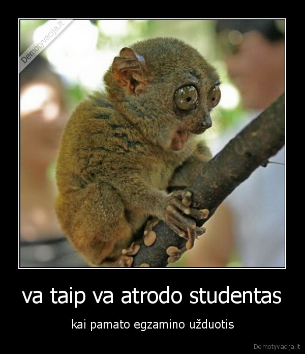 va taip va atrodo studentas