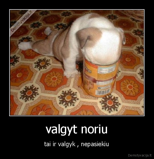 valgyt noriu