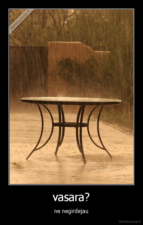 kur, vasara, atsibodo, lietus