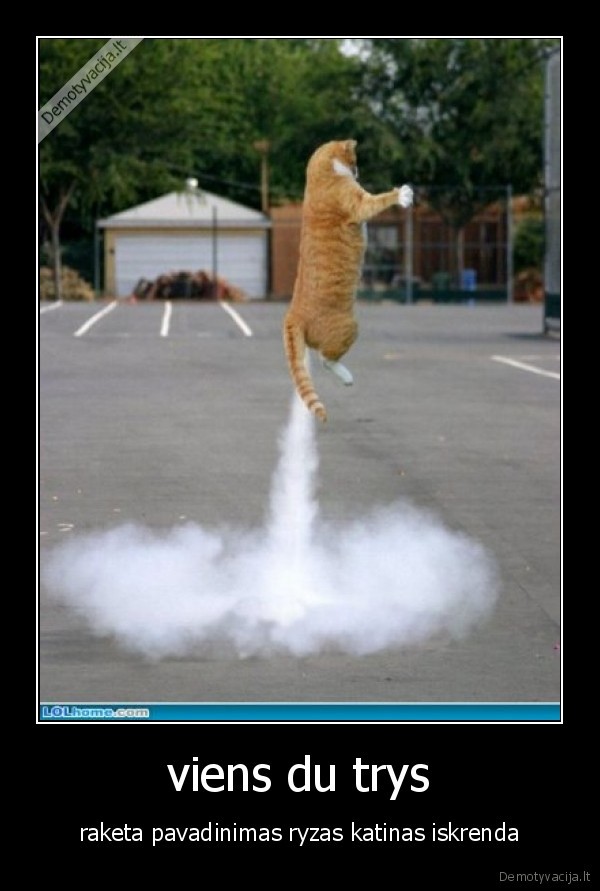 katinas, moka, skraidyti