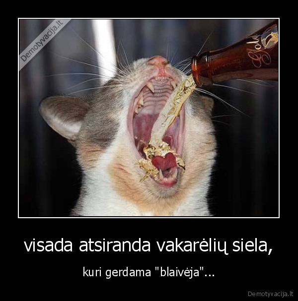 visada atsiranda vakarėlių siela,