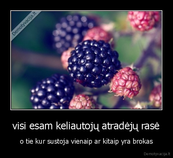 visi esam keliautojų atradėjų rasė