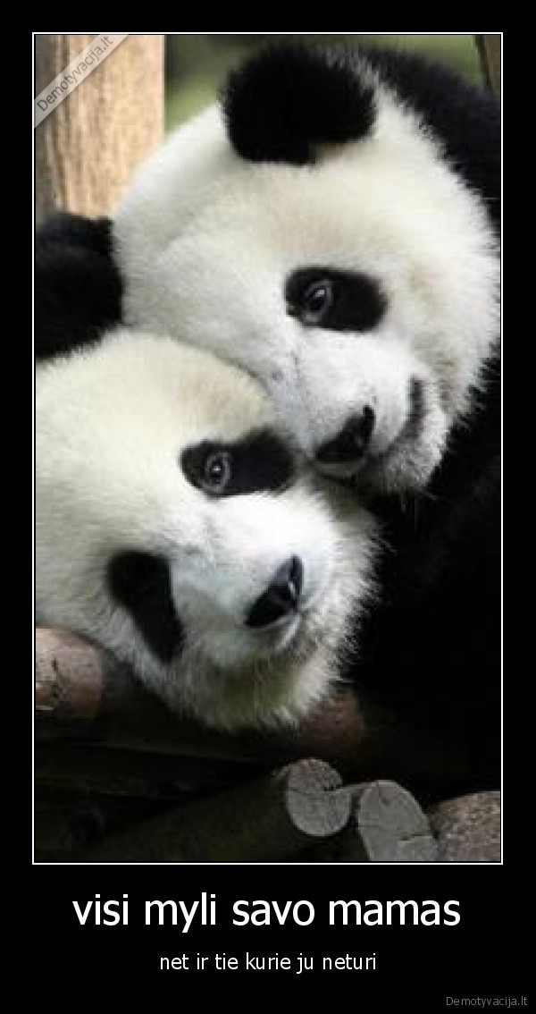 visi myli savo mamas