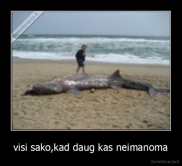 visi sako,kad daug kas neimanoma