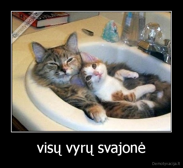 visų vyrų svajonė