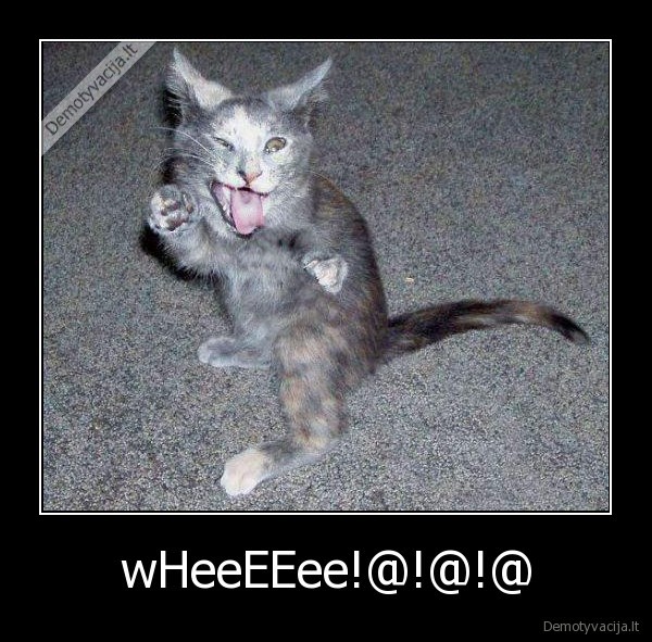 wHeeEEee!@!@!@