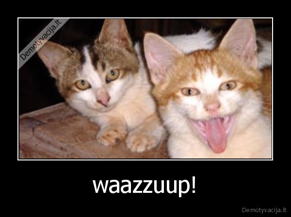waazzuup!