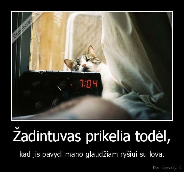 miegas,zadintuvas,rytas,kubilius