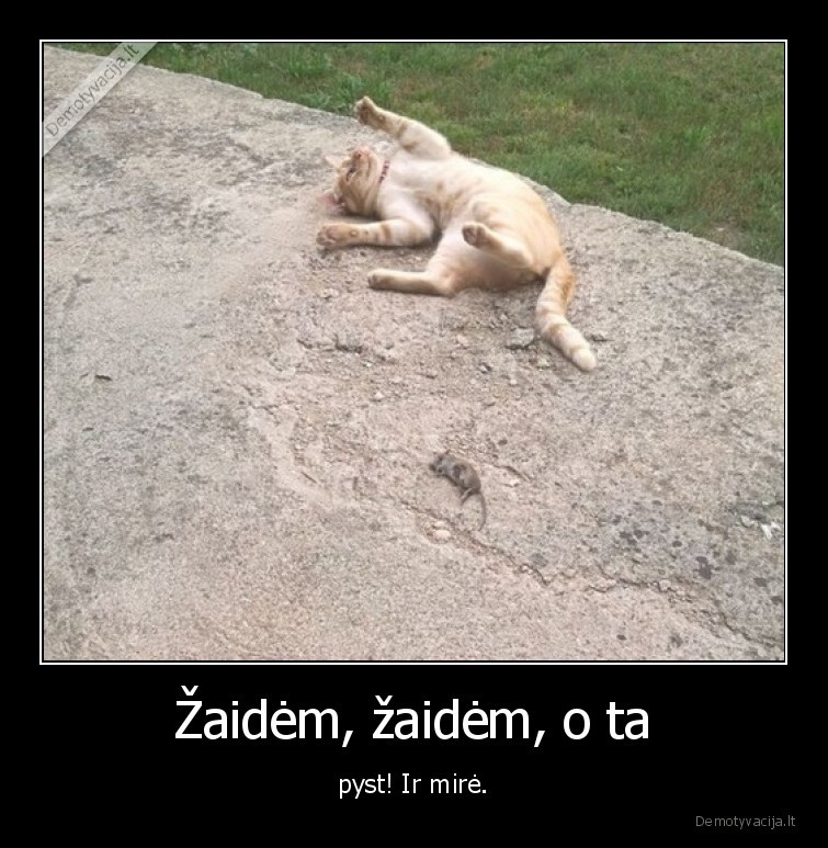 katinelis,kate,zaidem,pyst,mire