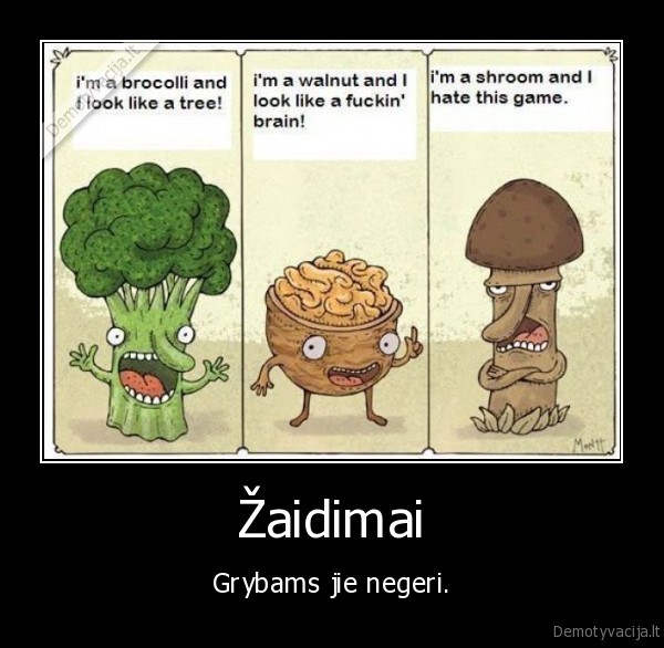 Žaidimai