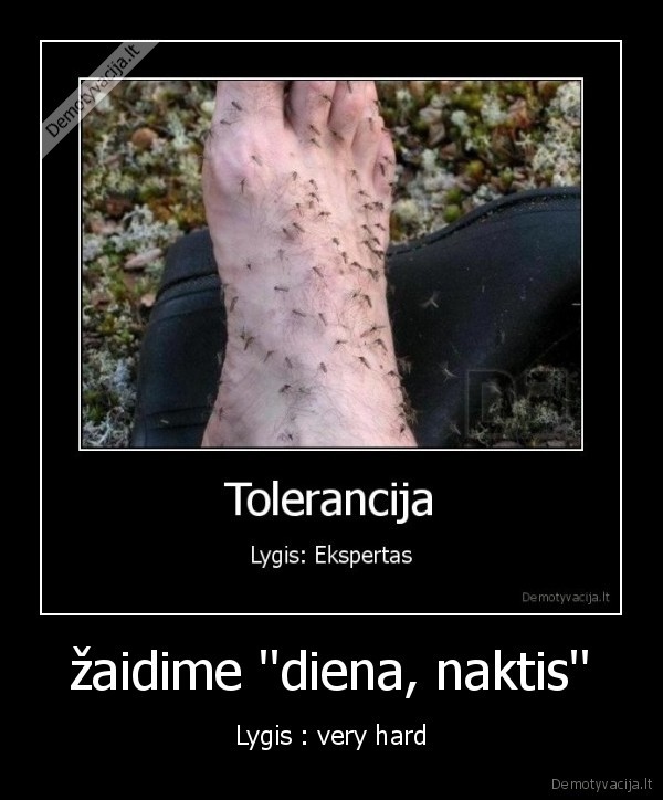 žaidime ''diena, naktis''