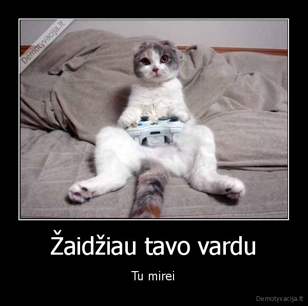 katinas,xbox,geimeris
