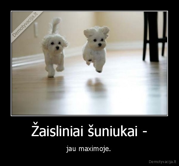 Žaisliniai šuniukai -