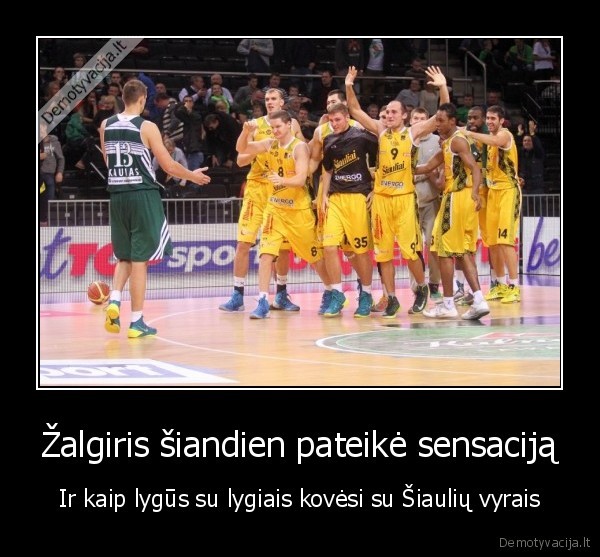 zalgiris,siauliai,lkl