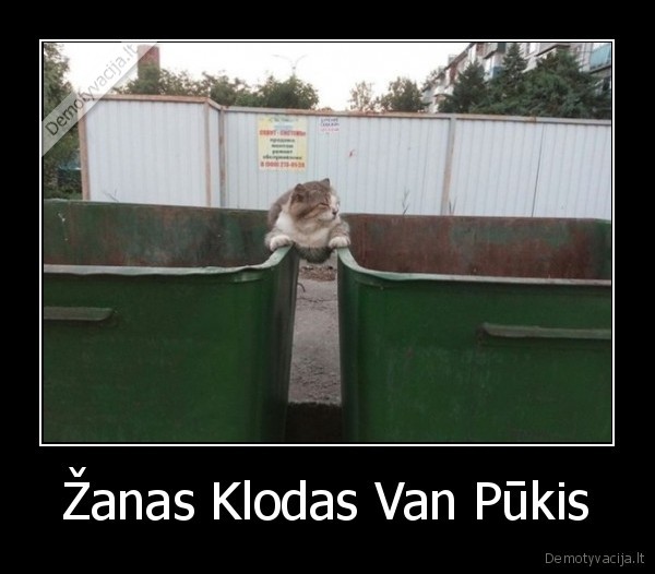 zanas, klodas, van, damas,splitas,katinas
