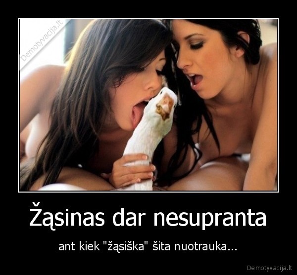 zasys,merginos,fail,laizo, zasina