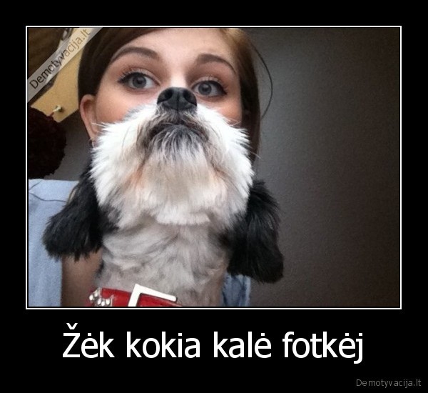 neaisku, kiek, kaliu, fotkej