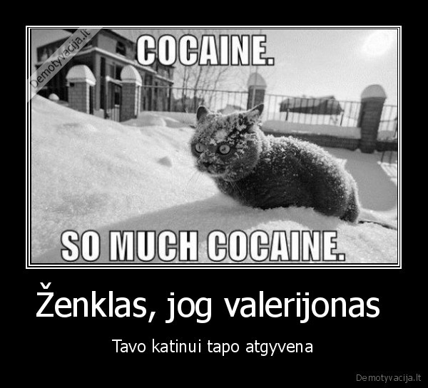 Ženklas, jog valerijonas 