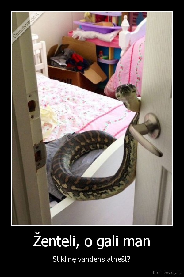 gyvate,uosviene,namine, gyvate