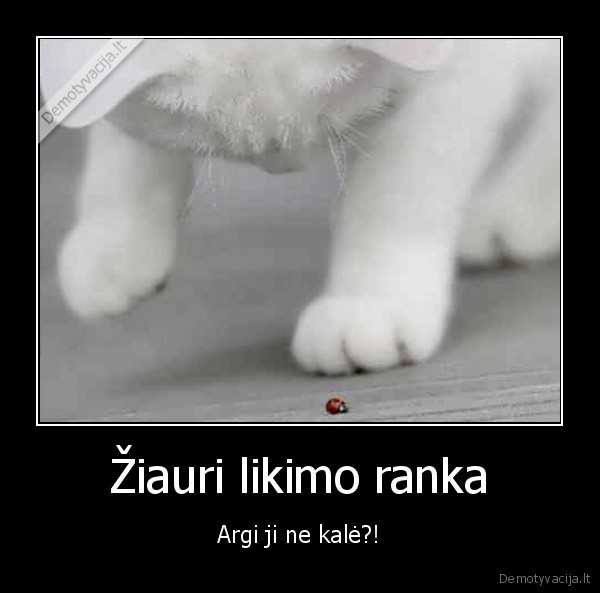 Žiauri likimo ranka