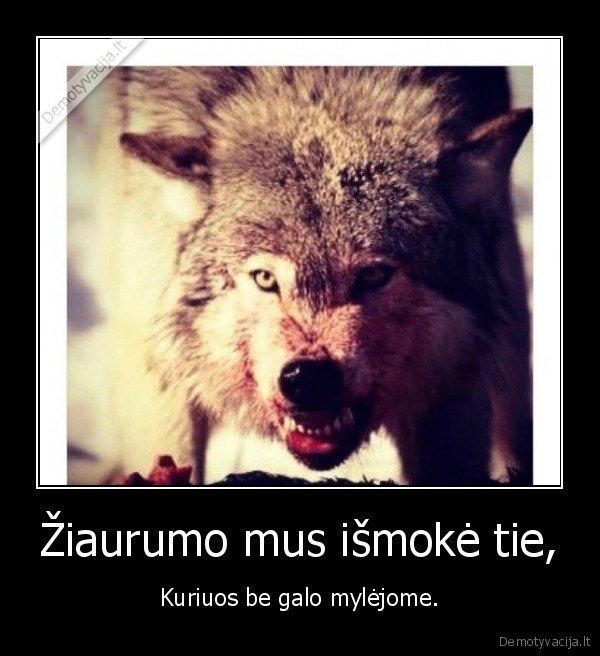 ziaurumas,gyvenimas,mylejome,ismoke