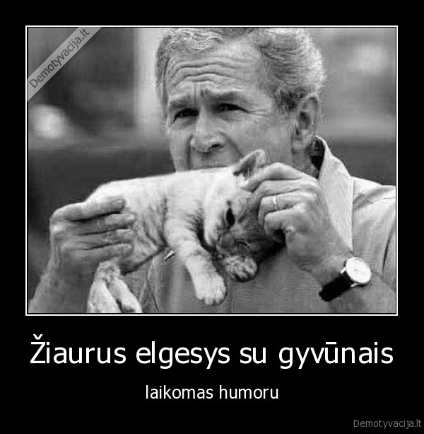Žiaurus elgesys su gyvūnais