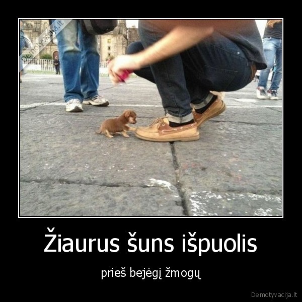 Žiaurus šuns išpuolis