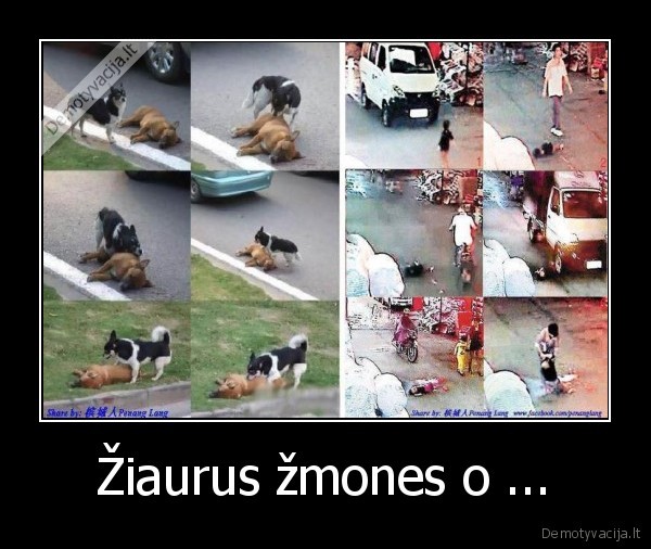 Žiaurus žmones o ...