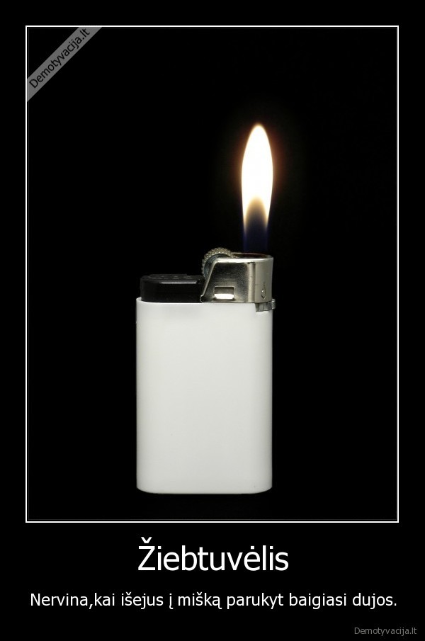 ziebtuvelis,dujos,miskas,namai