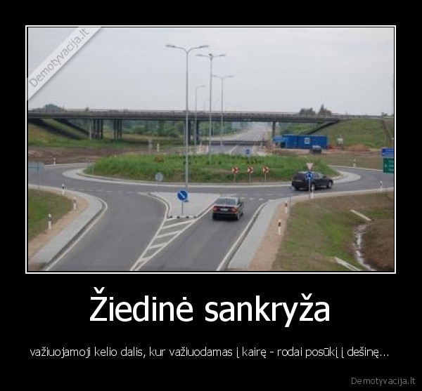 ziedine,sankriza,kelio,dalis