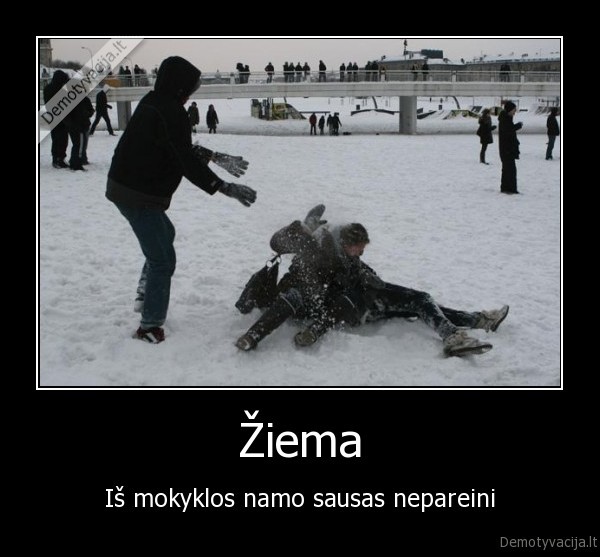 Žiema