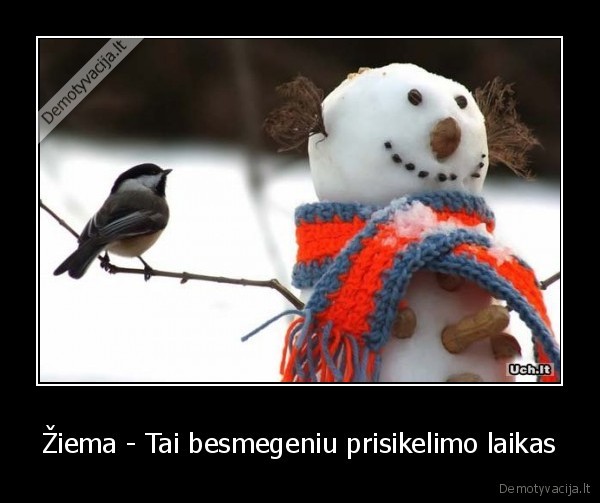 Žiema - Tai besmegeniu prisikelimo laikas