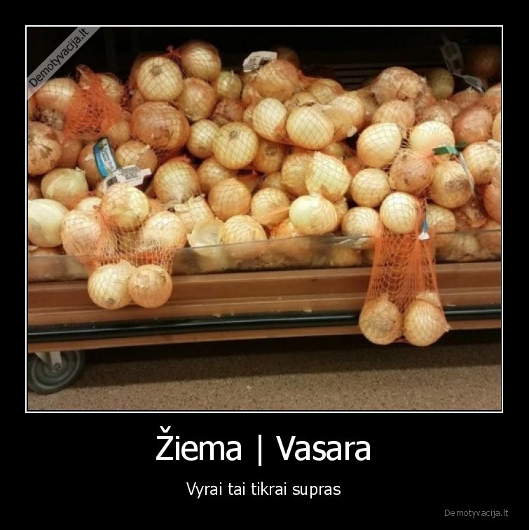 ziema,vasara,vyrai,karstis,kiausiniai